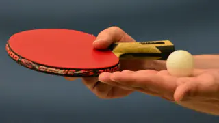 What Equipment Do I Need to Start Playing Ping Pong?
