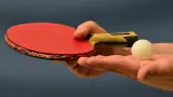 What Equipment Do I Need to Start Playing Ping Pong?
