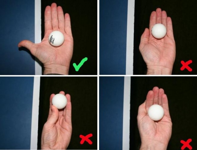 correct way to place the ball in your palm table tennis rules