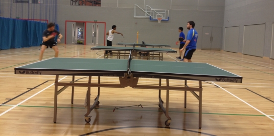 Articles On How To Choose And Buy The Best Table Tennis Table