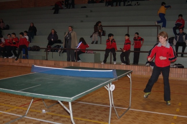 Basic beginners table tennis tables may be a false economy as you will want to replace them as you improve